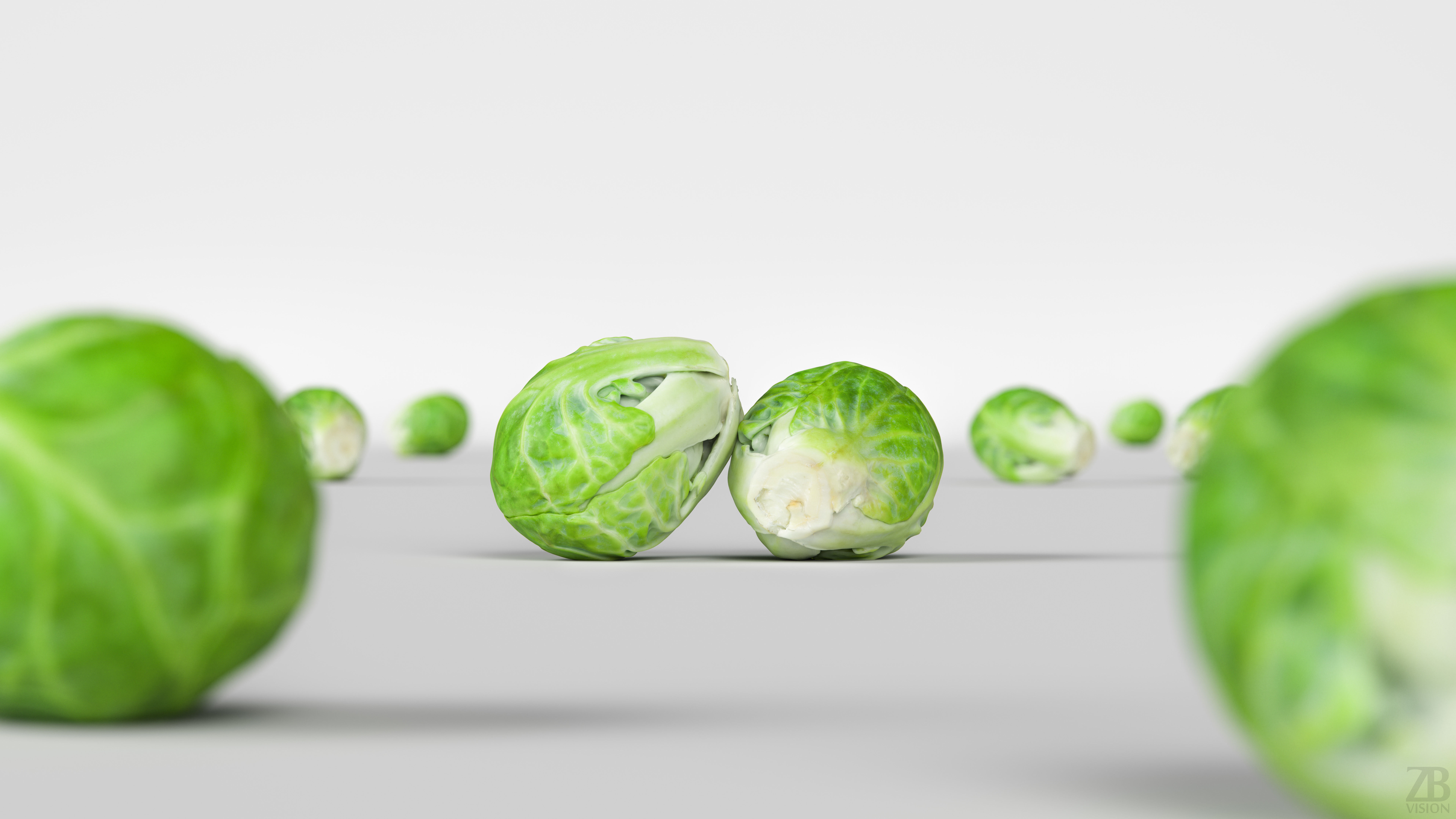 Brussels Sprout 3D model_1