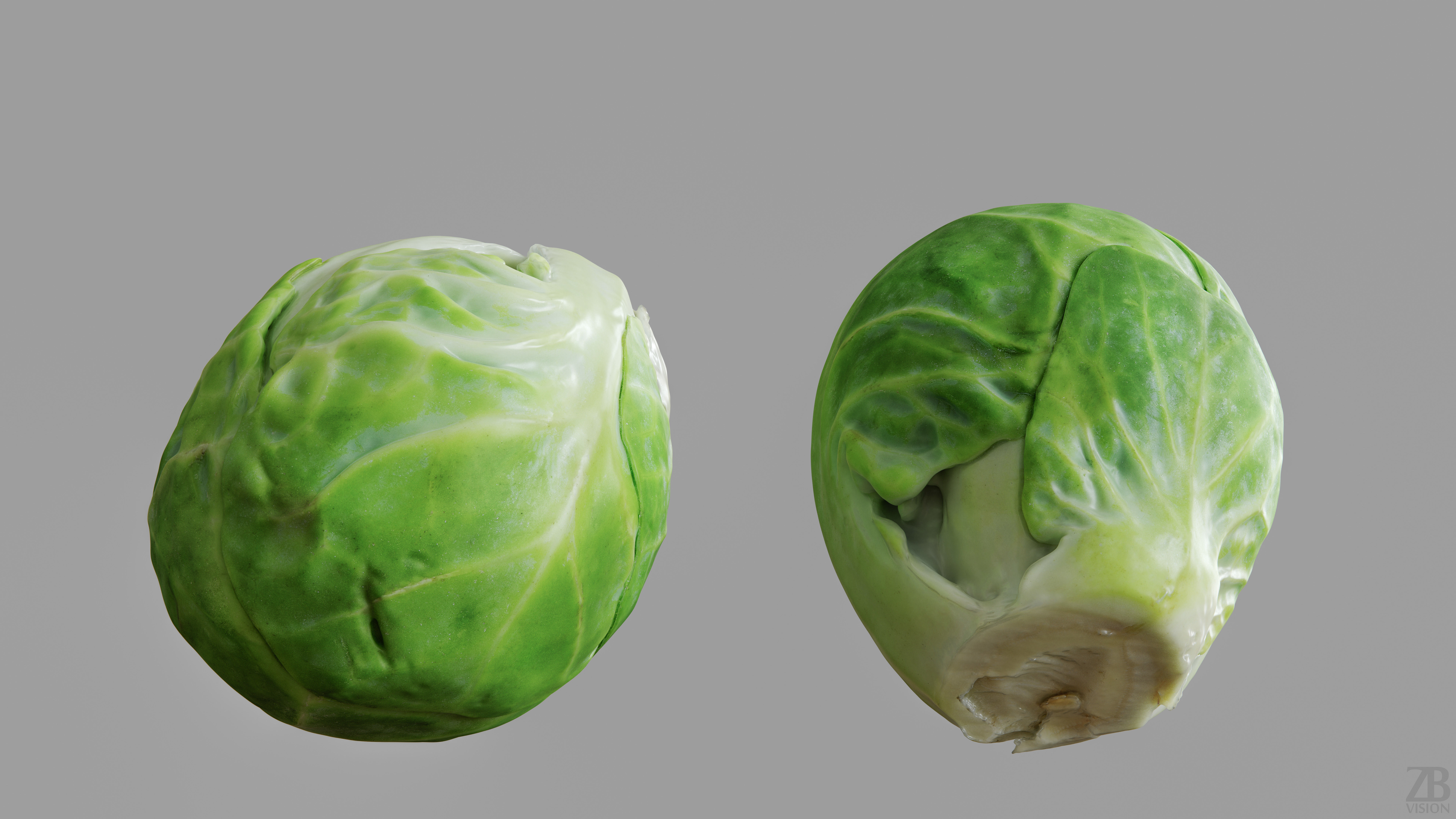 Brussels Sprout 3D model_9