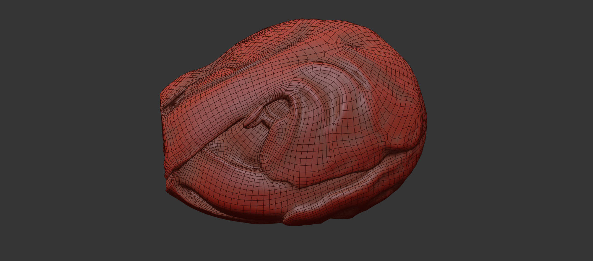 Brussels Sprout 3D model_6