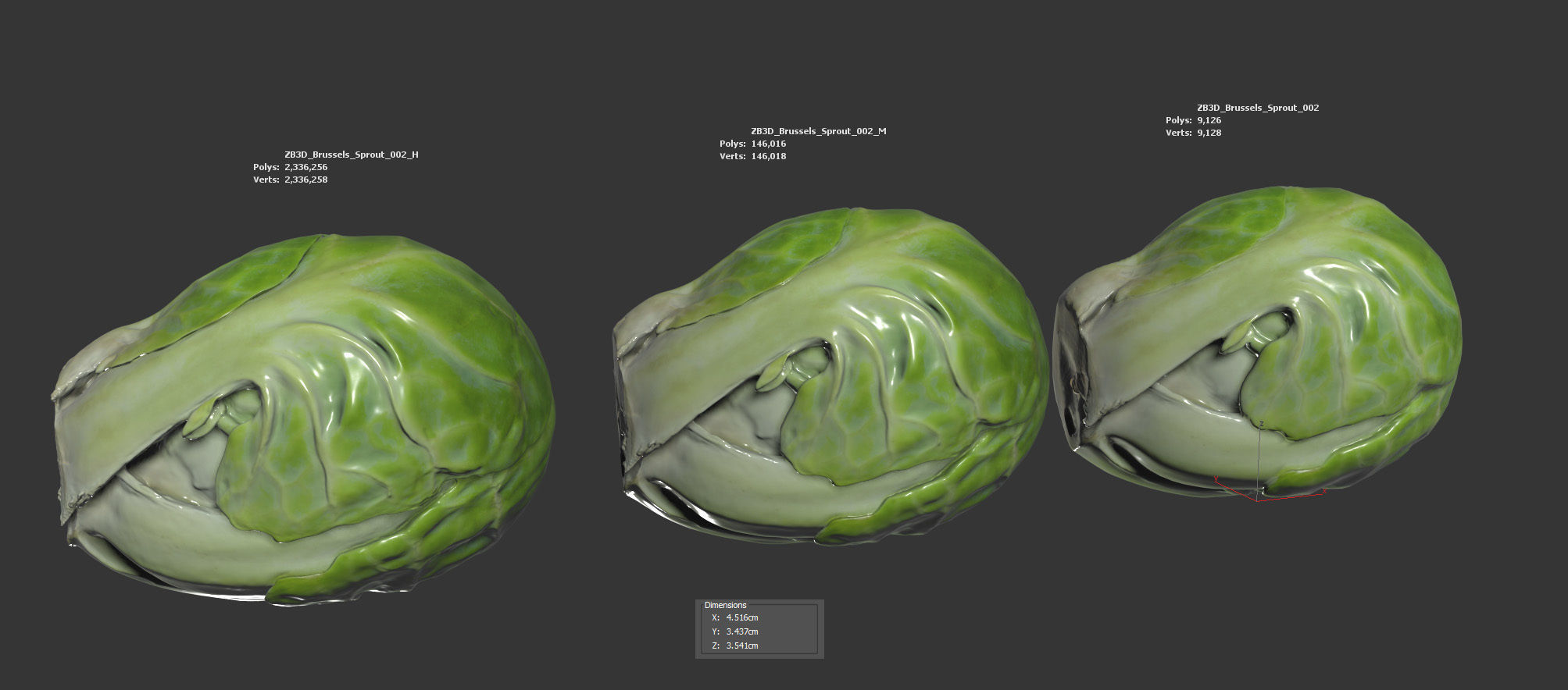 Brussels Sprout 3D model_5