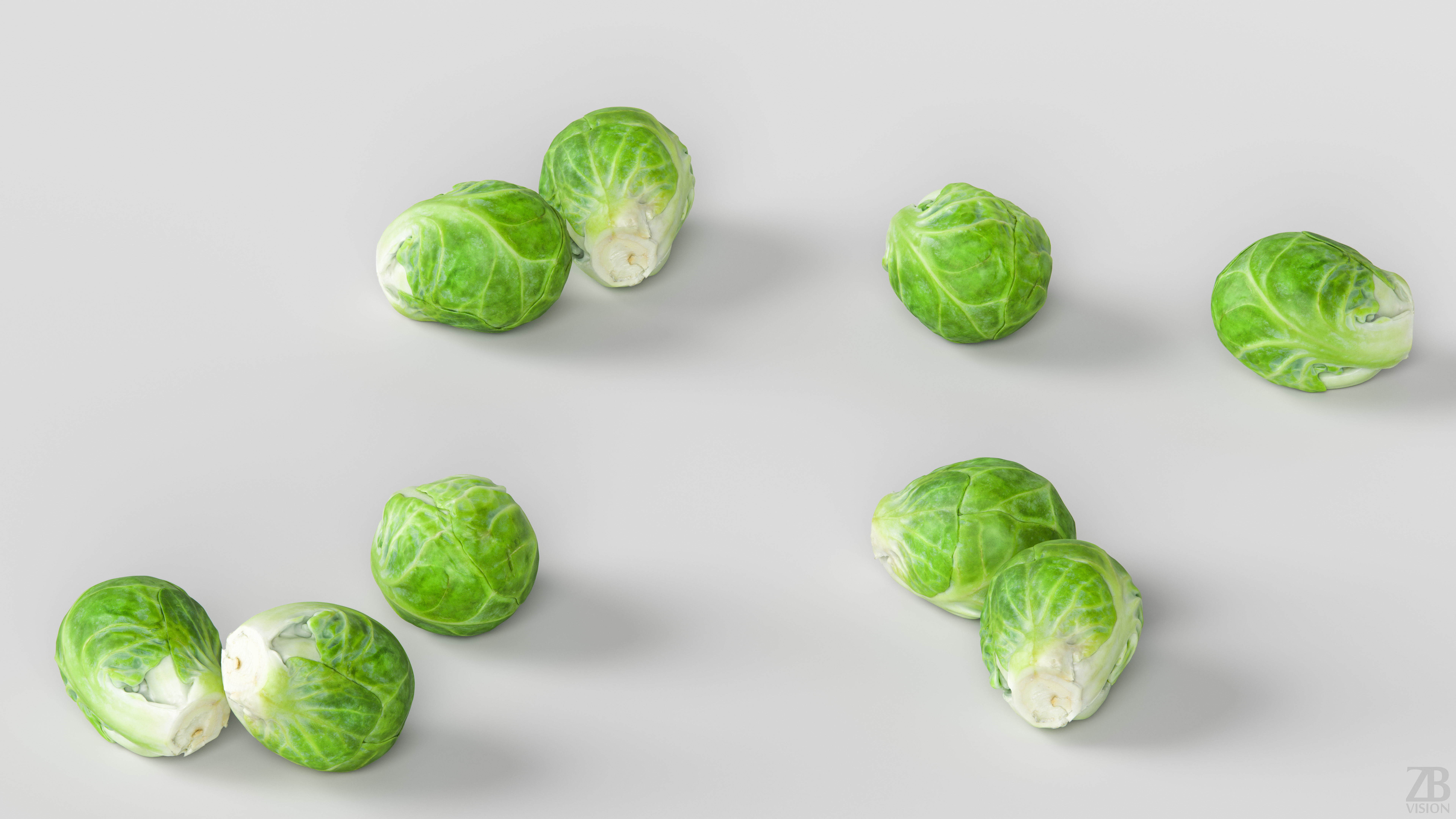 Brussels Sprout 3D model_2