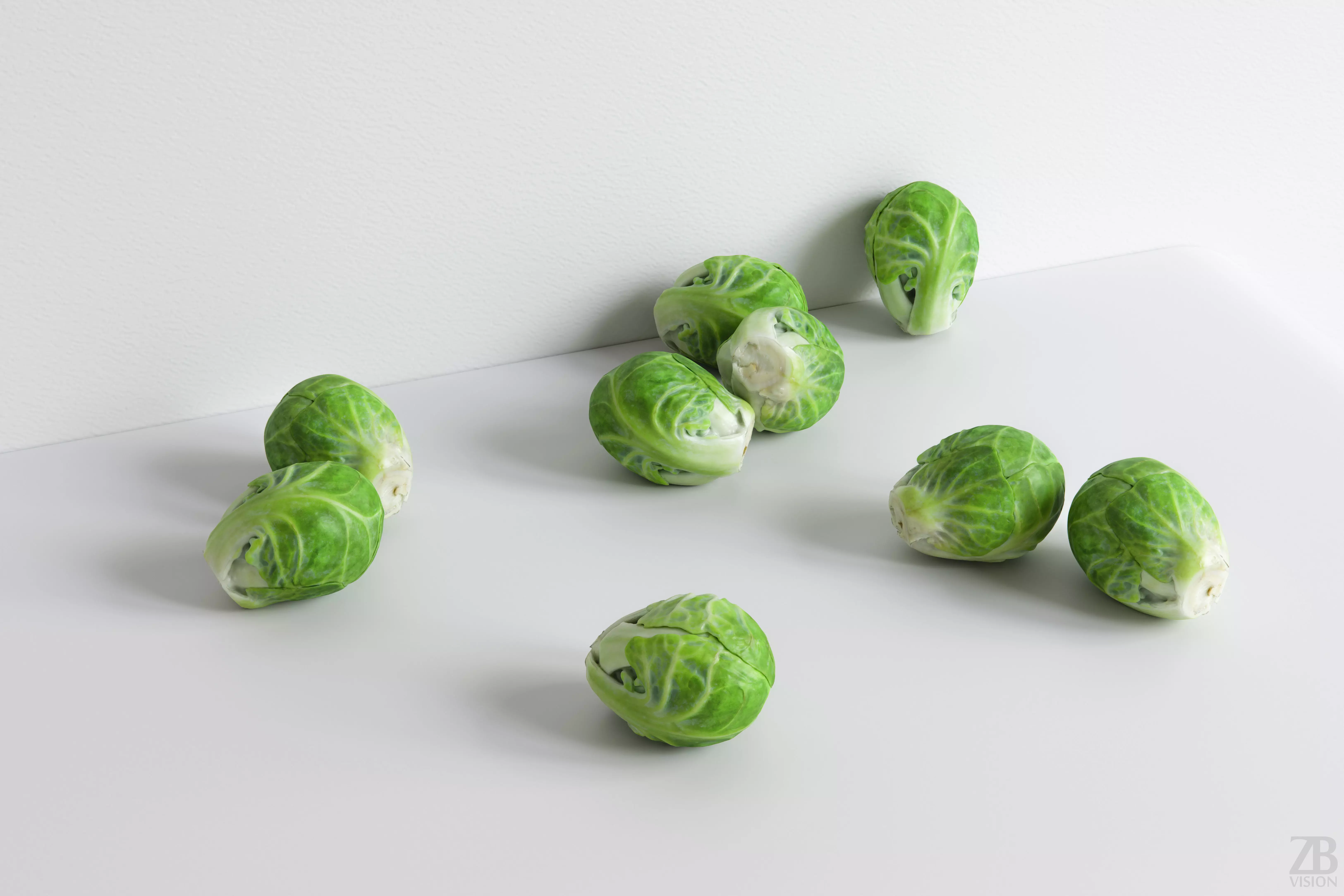 Brussels Sprout 3D model_0