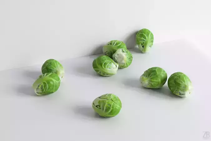 Brussels Sprout 3D model
