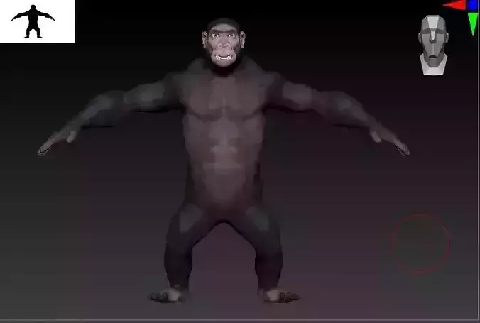 Kong Gorilla