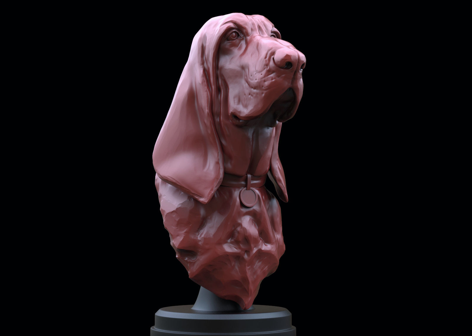 Bloodhound Bust  3D print model_1