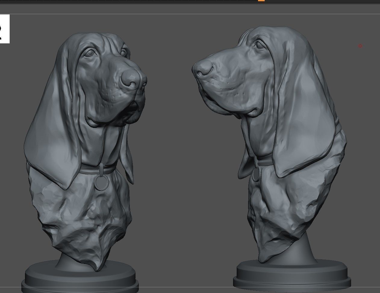 Bloodhound Bust  3D print model_5