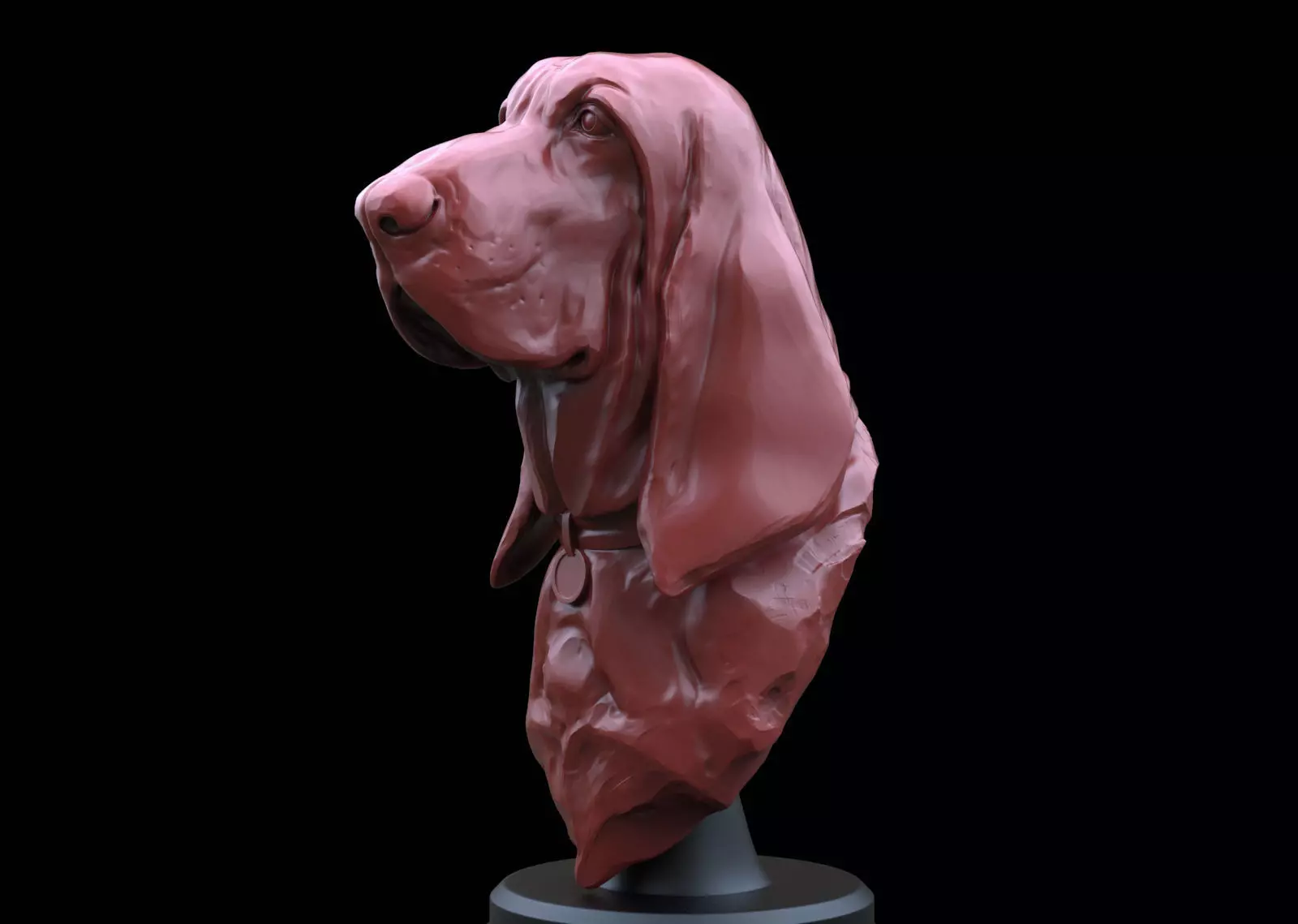 Bloodhound Bust  3D print model_0