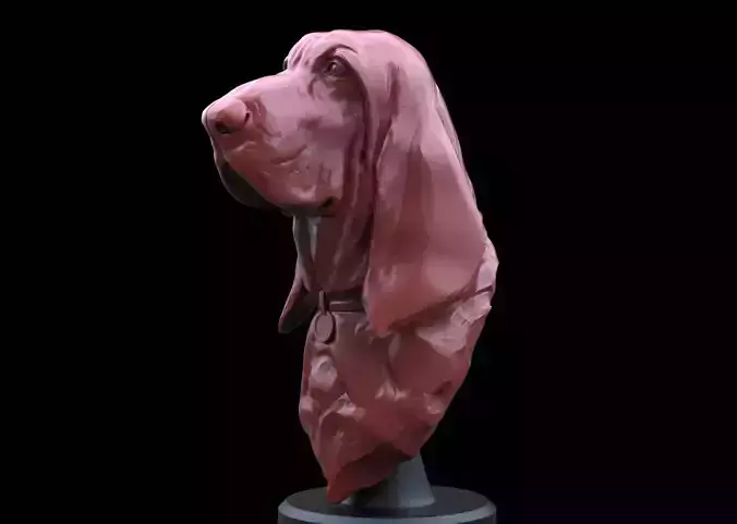 Bloodhound Bust  3D print model