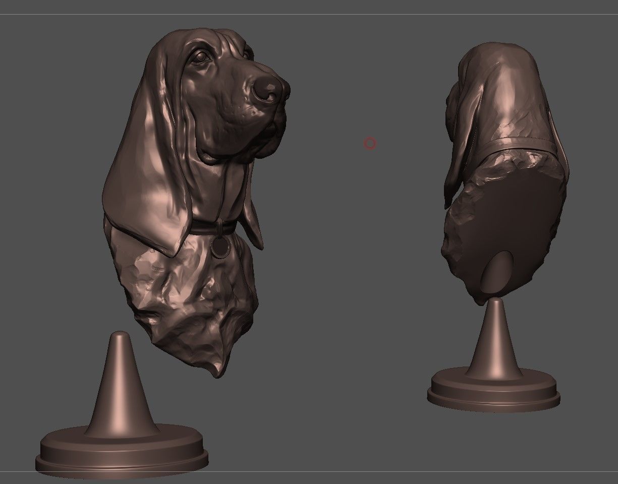 Bloodhound Bust  3D print model_7