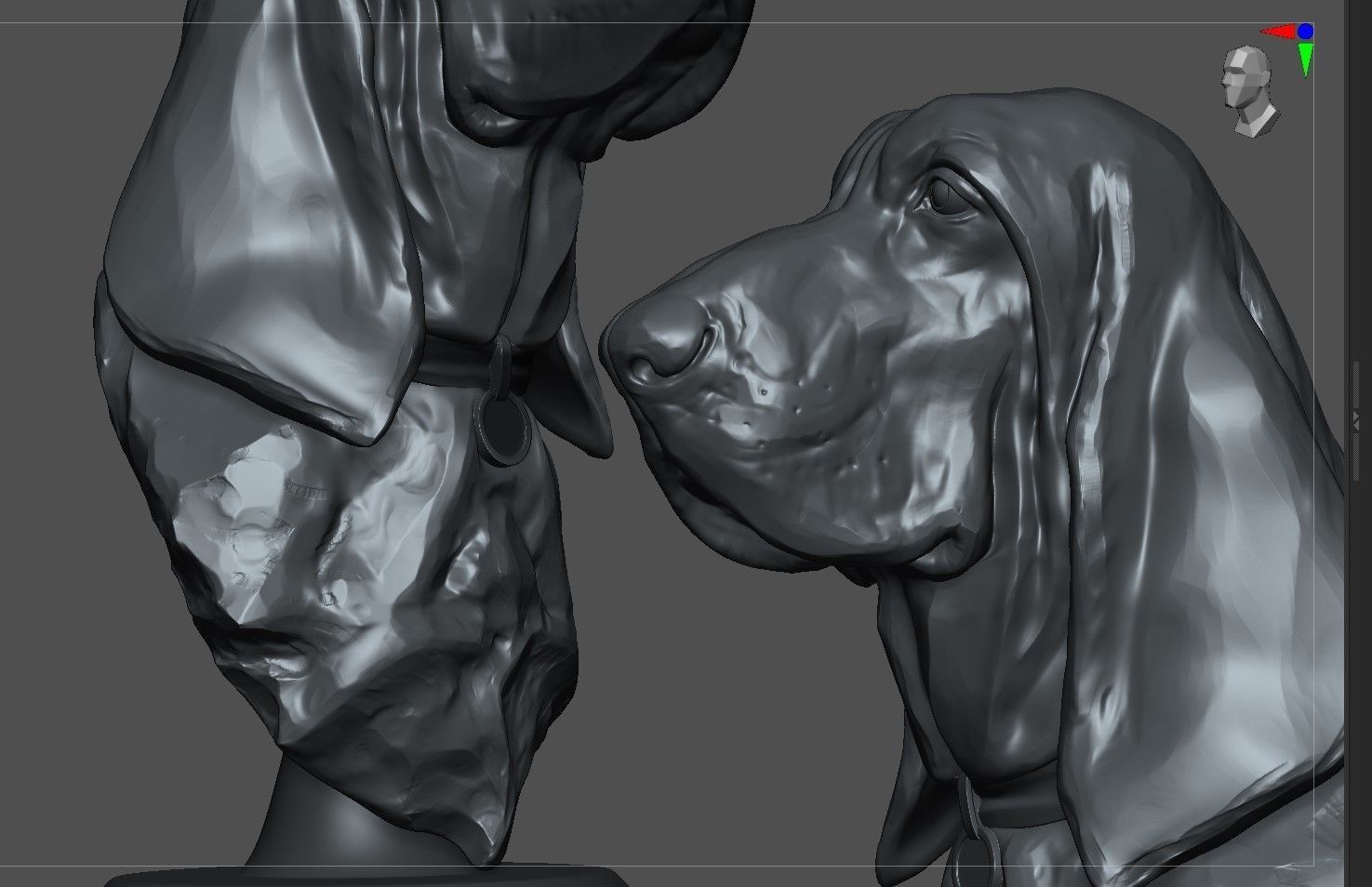 Bloodhound Bust  3D print model_6