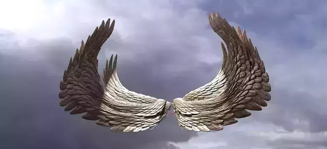 Colossal Angel Wings