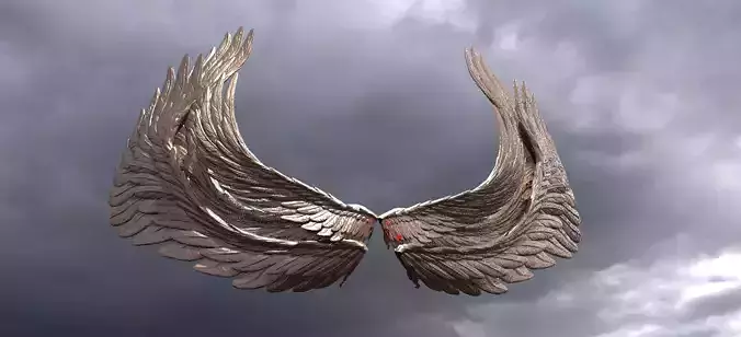 Phoenix Dragon wings 3 