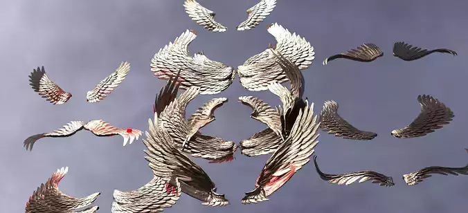 Angel Dragon wings Collection Low-poly 3D model