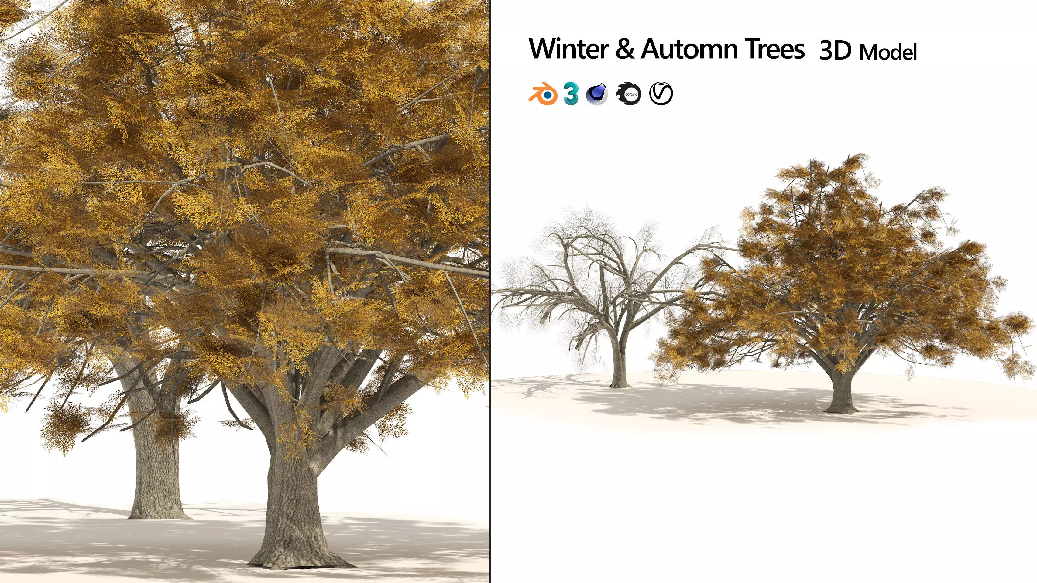 Fall and winter Water Elm Trees Low-poly 3D model_0