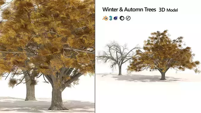 Fall and winter Water Elm Trees Low-poly 3D model Fall and winter Water Elm Trees Low-poly 3D model