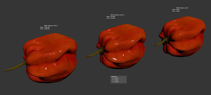 Habanero 3D model 6