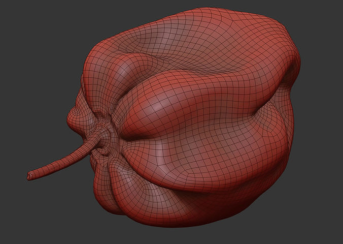 Habanero 3D model 7