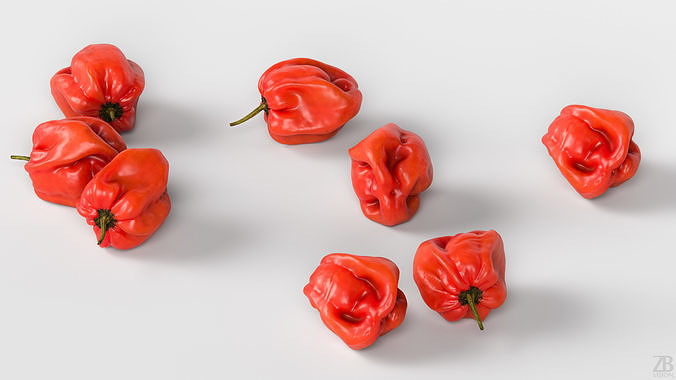 Habanero 3D model 3