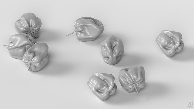 Habanero 3D model 4