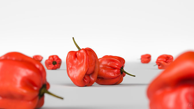 Habanero 3D model 2