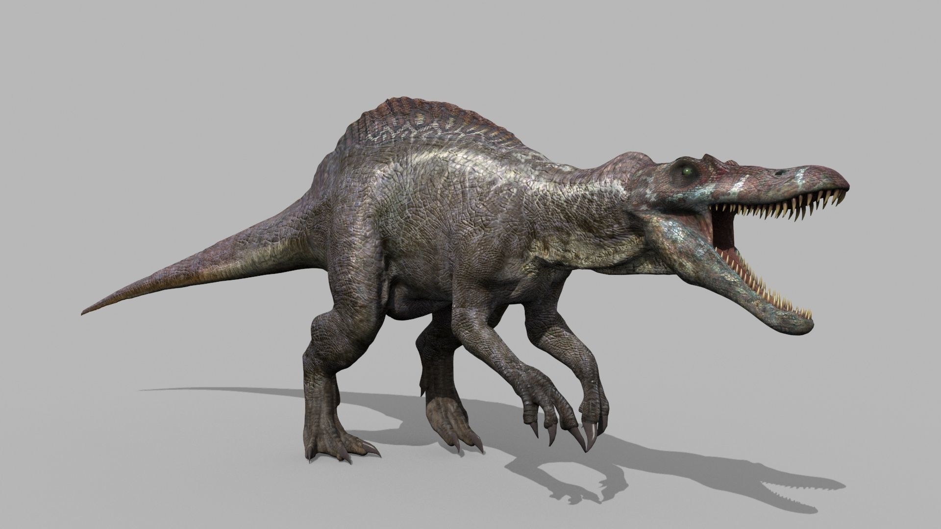Suchomimus Tenerensis - 8K animated 3D model_16