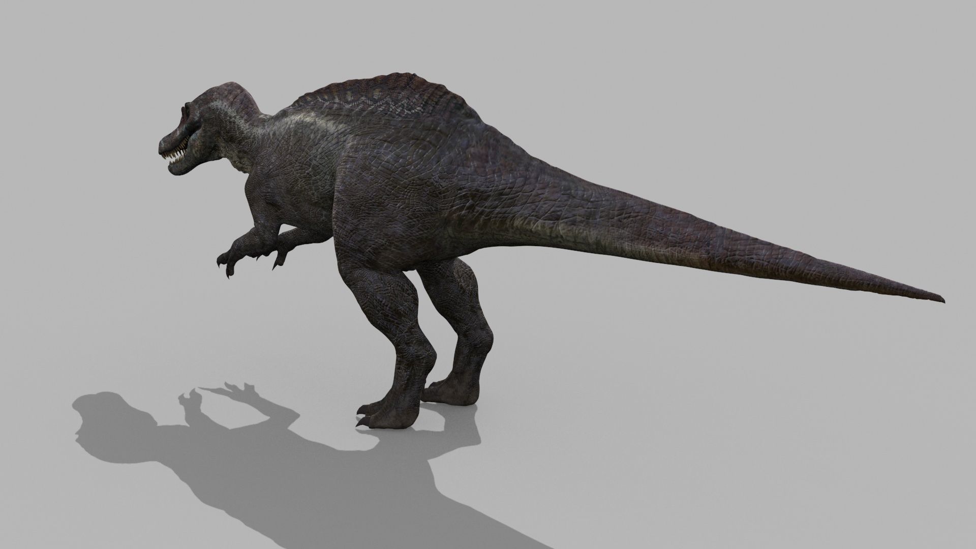 Suchomimus Tenerensis - 8K animated 3D model_11