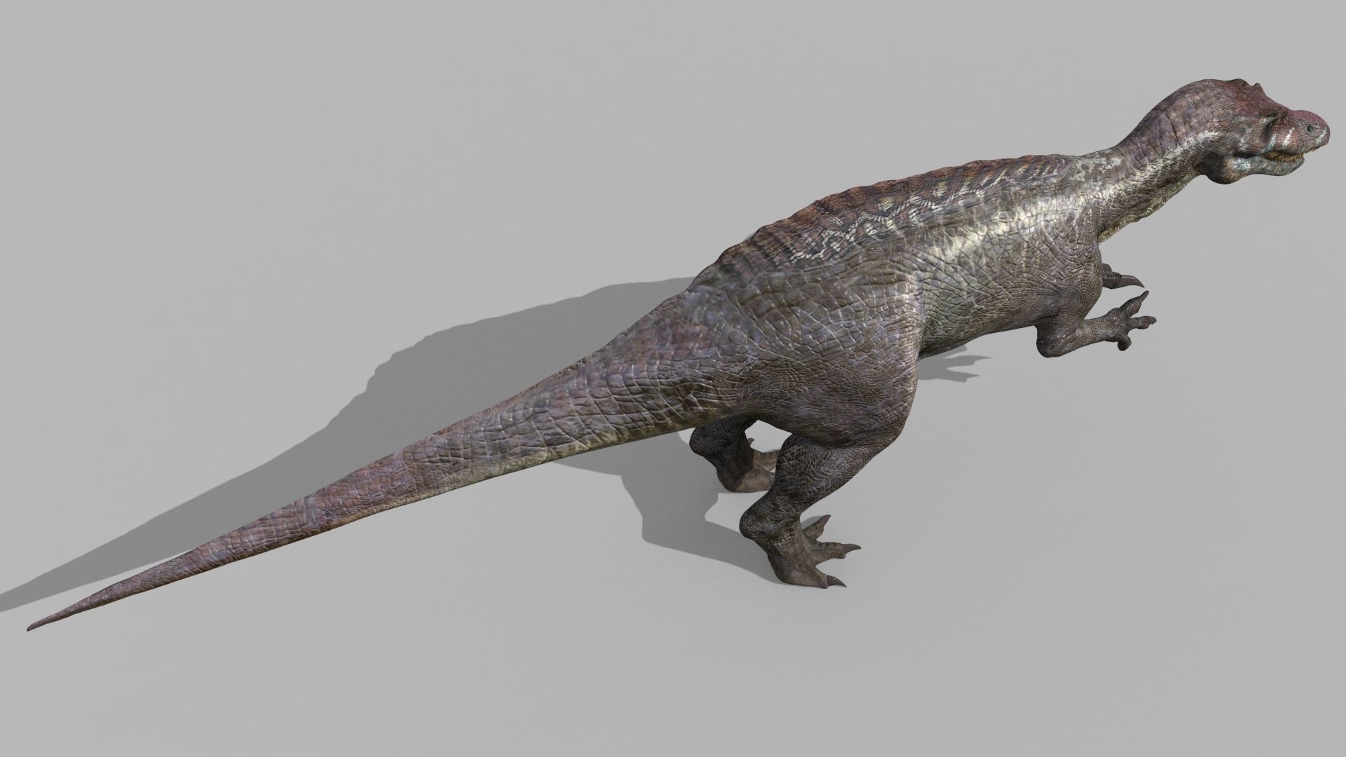 Suchomimus Tenerensis - 8K animated 3D model_13