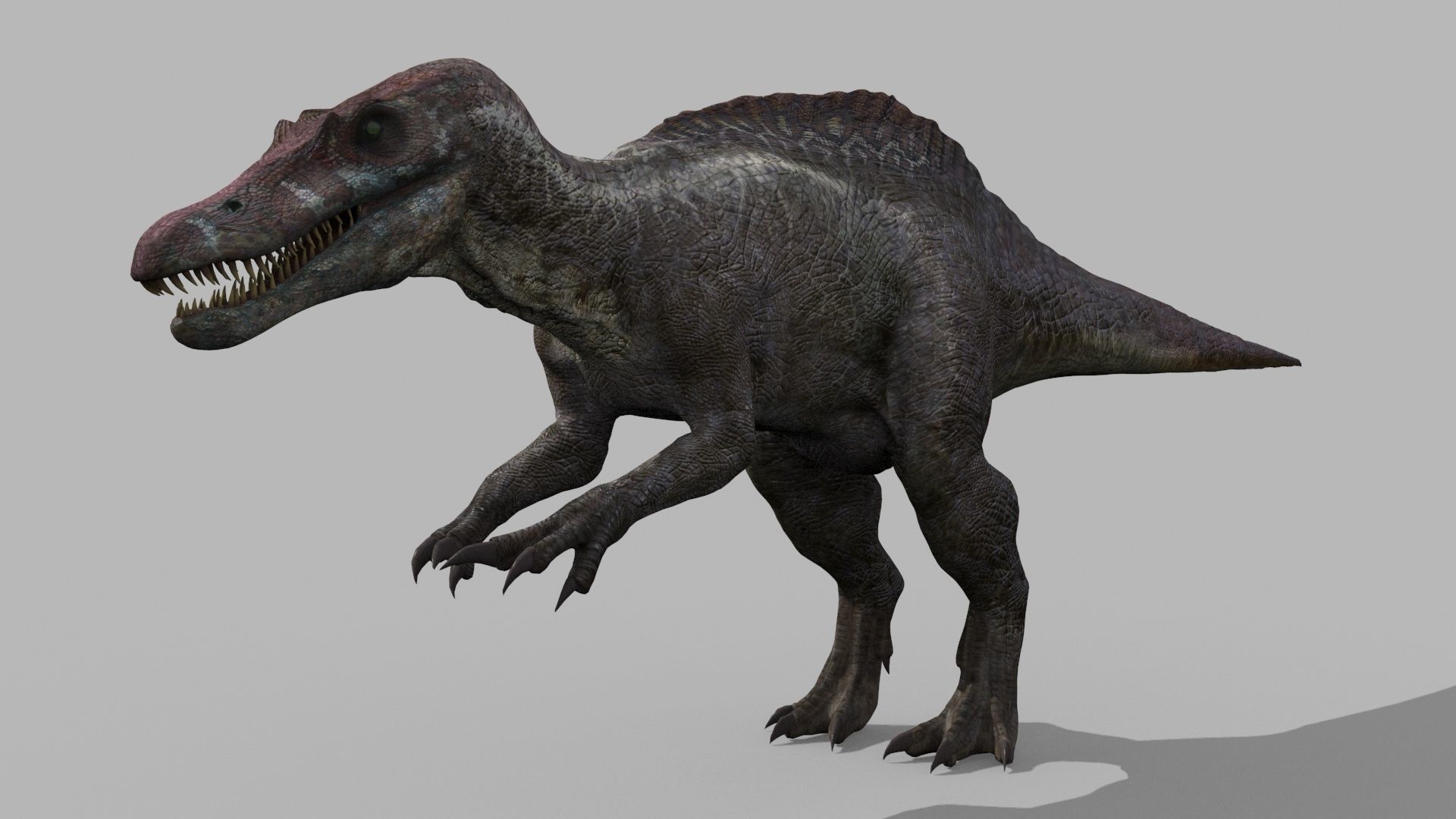 Suchomimus Tenerensis - 8K animated 3D model_10