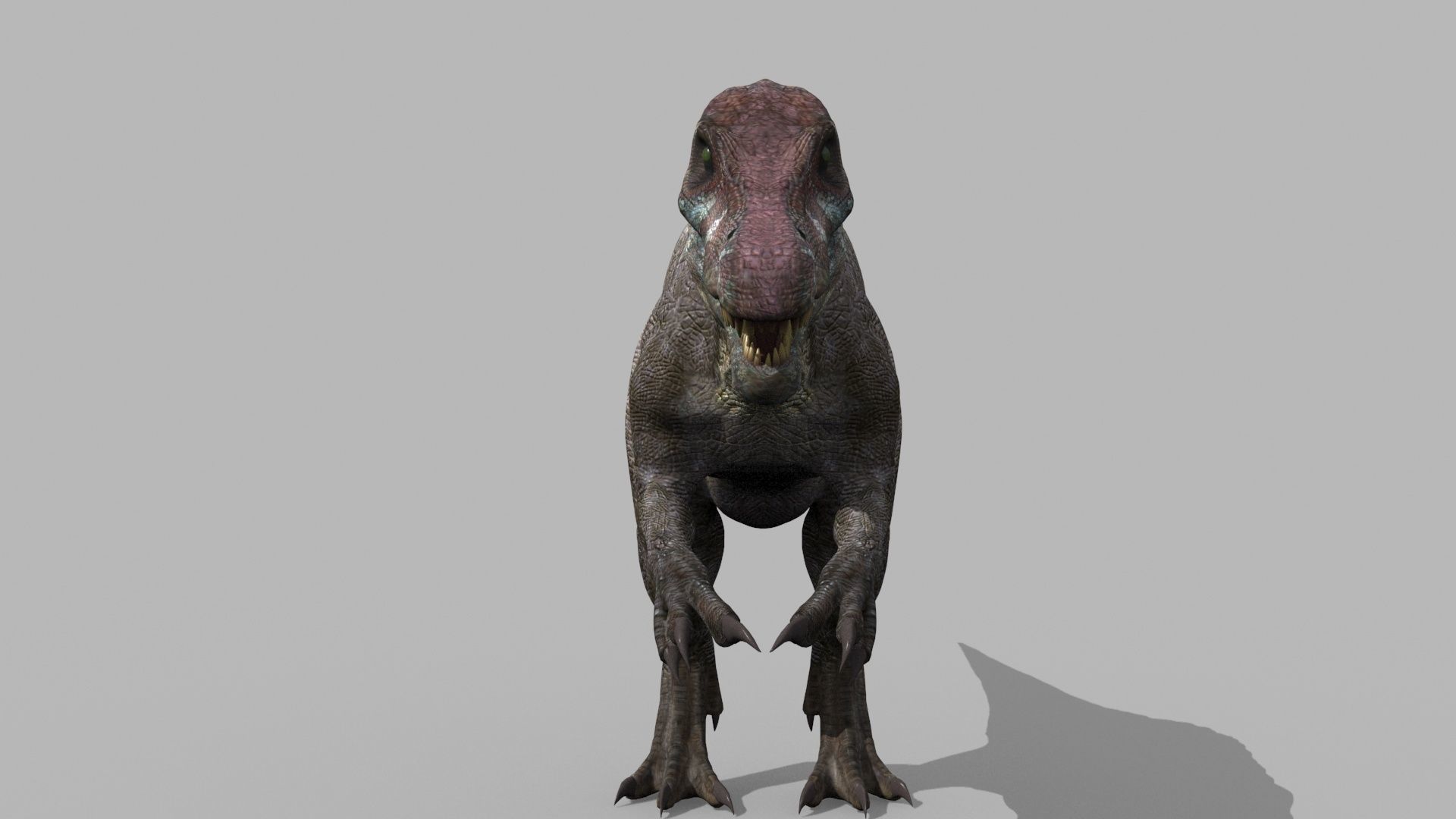 Suchomimus Tenerensis - 8K animated 3D model_9