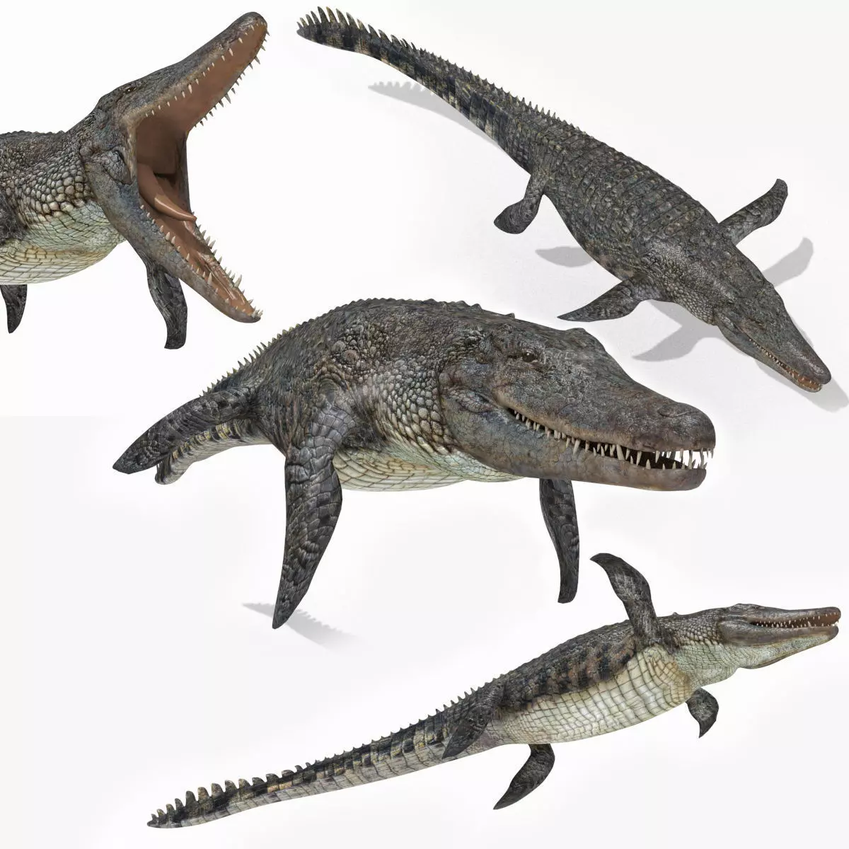 Ancient Marine Reptile - 8K animated 3D model_0