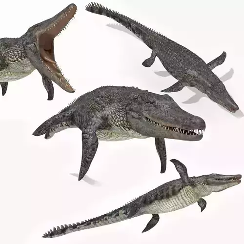 Ancient Marine Reptile - 8K animated 3D model
