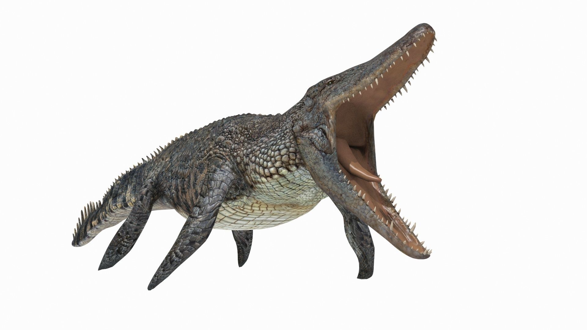 Ancient Marine Reptile - 8K animated 3D model_7