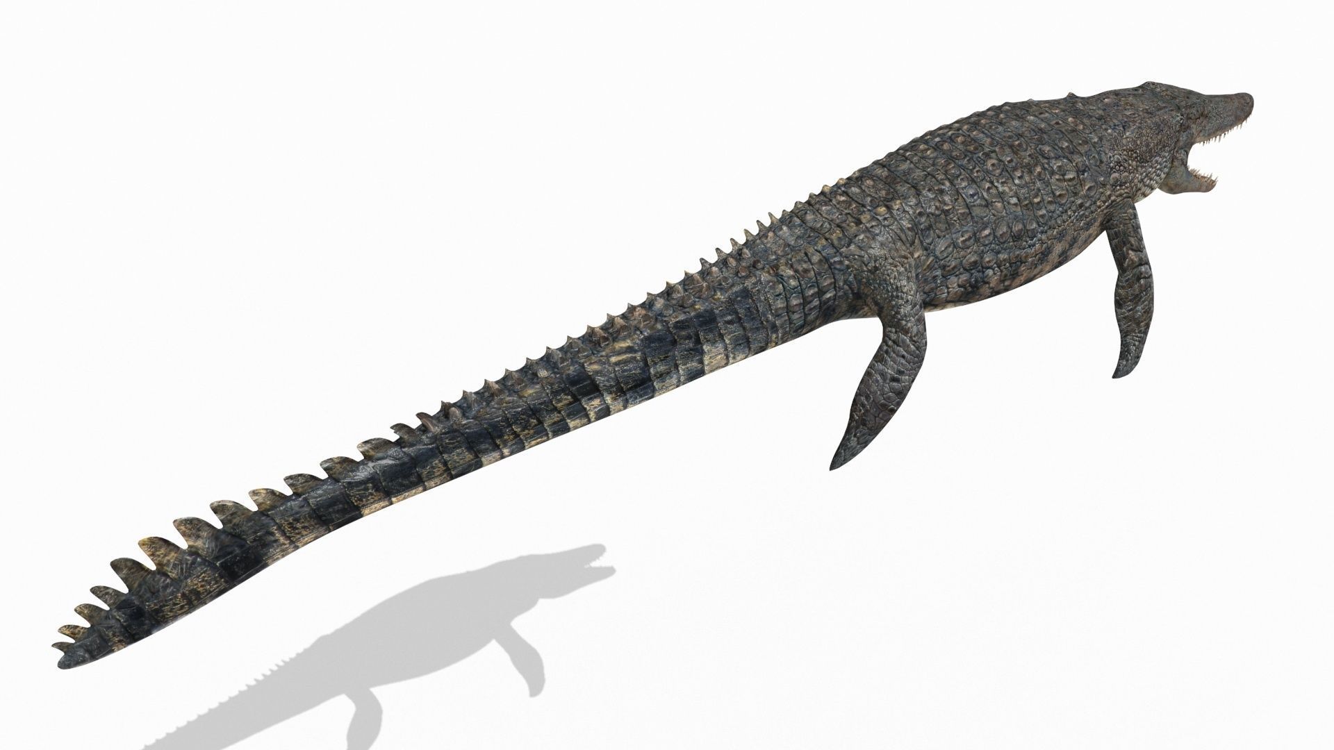 Ancient Marine Reptile - 8K animated 3D model_5
