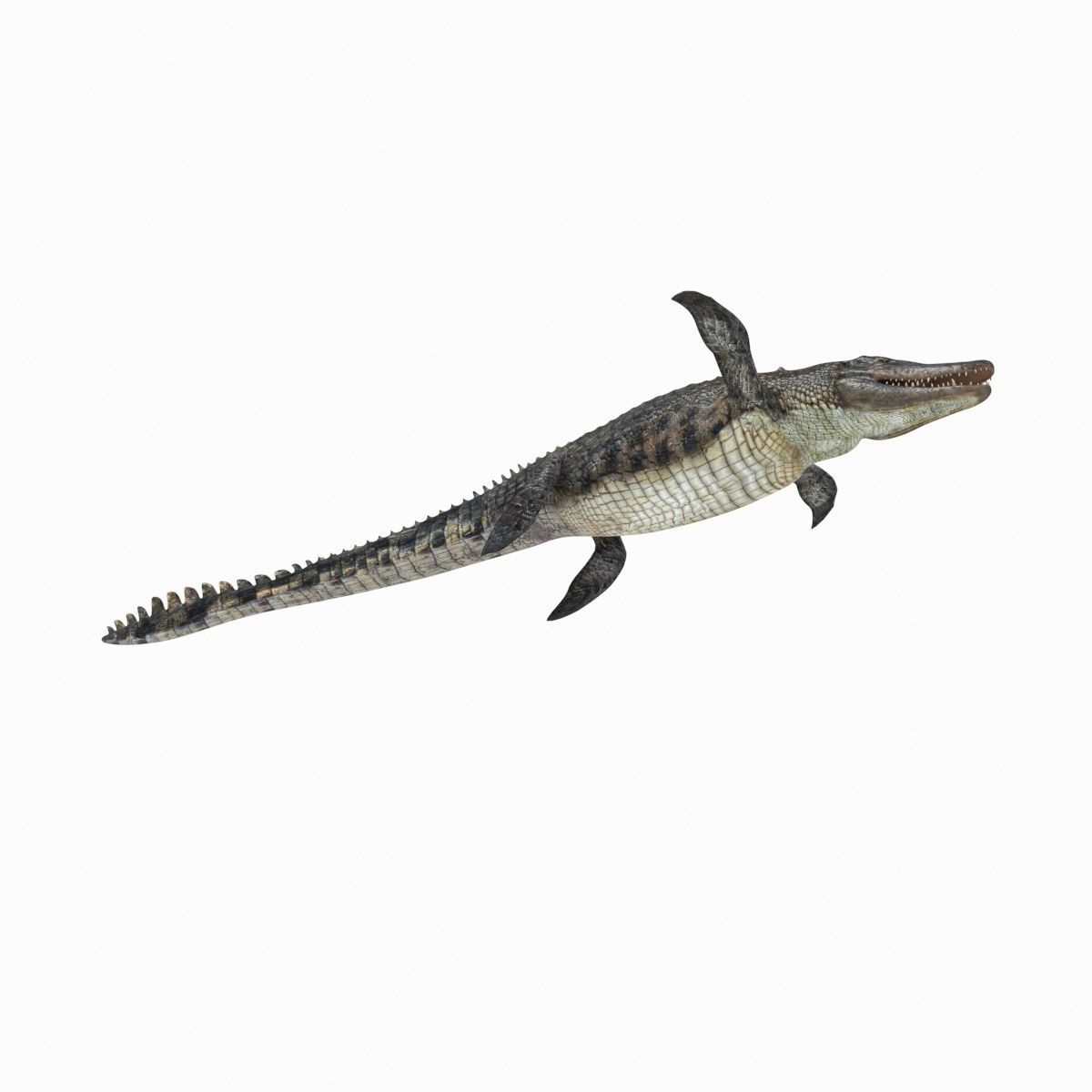 Ancient Marine Reptile - 8K animated 3D model_11