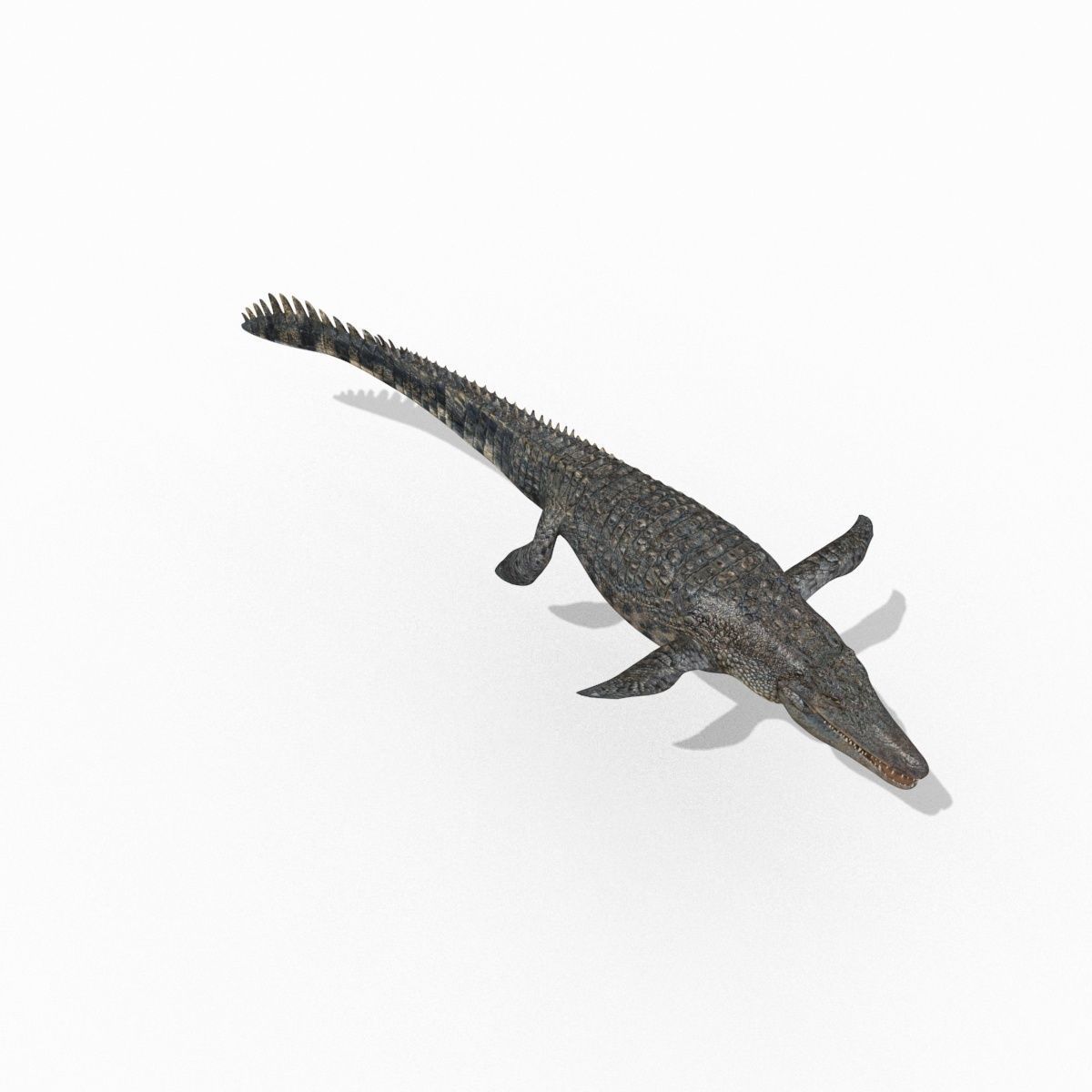 Ancient Marine Reptile - 8K animated 3D model_10
