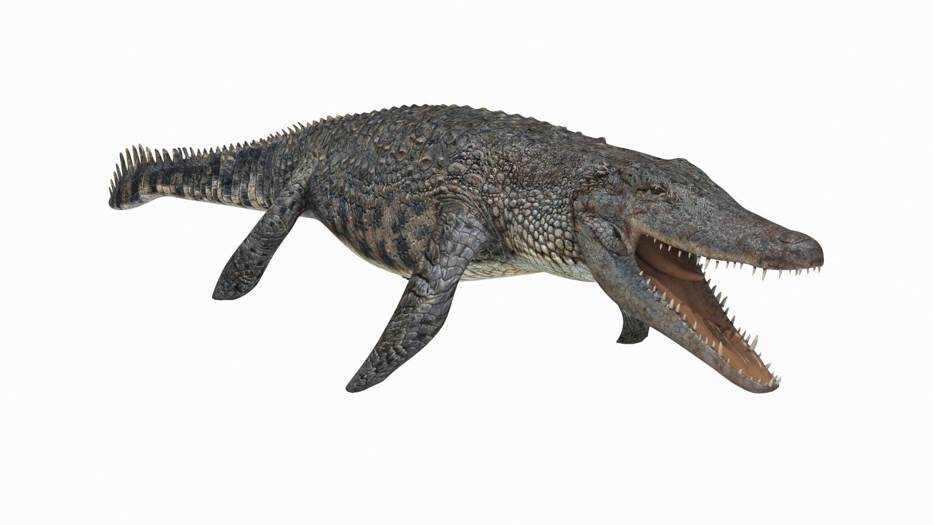 Ancient Marine Reptile - 8K animated 3D model_4