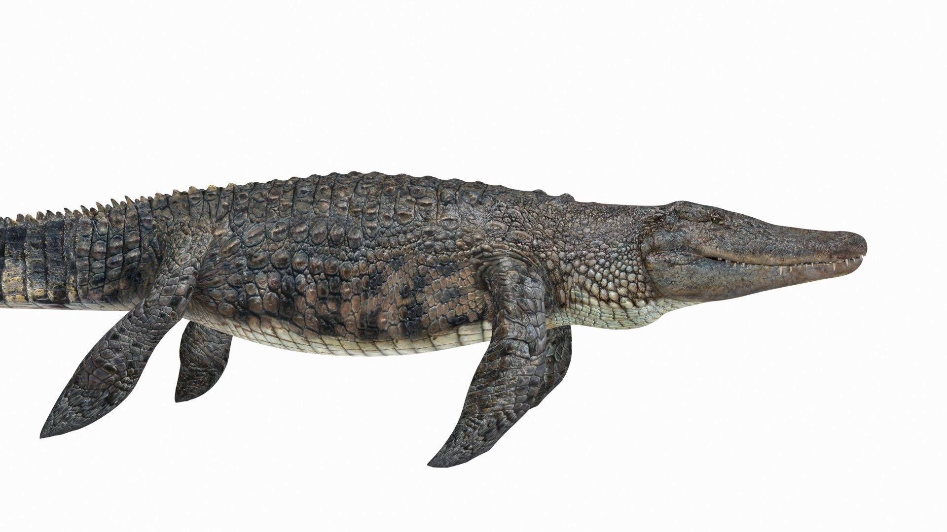 Ancient Marine Reptile - 8K animated 3D model_9