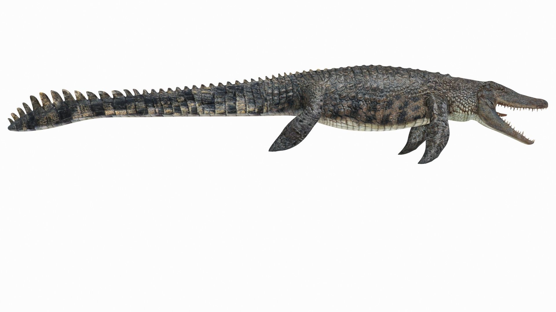 Ancient Marine Reptile - 8K animated 3D model_6