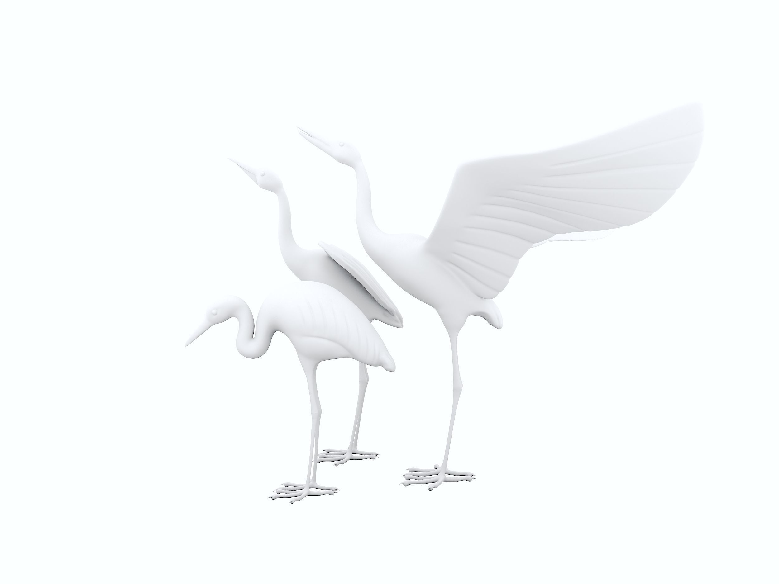 Sandhill Crane 3D print model 3D print model_2
