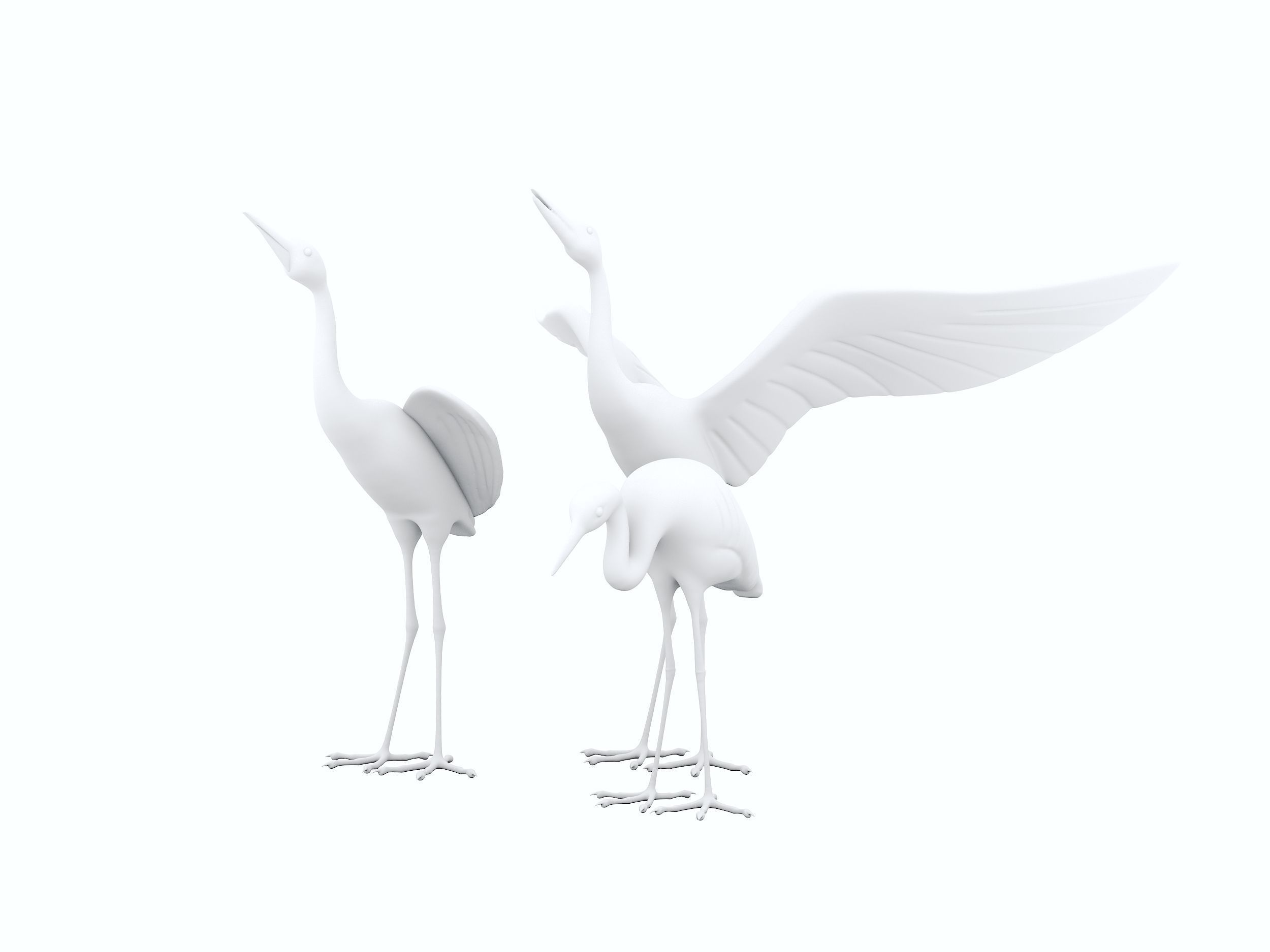 Sandhill Crane 3D print model 3D print model_4