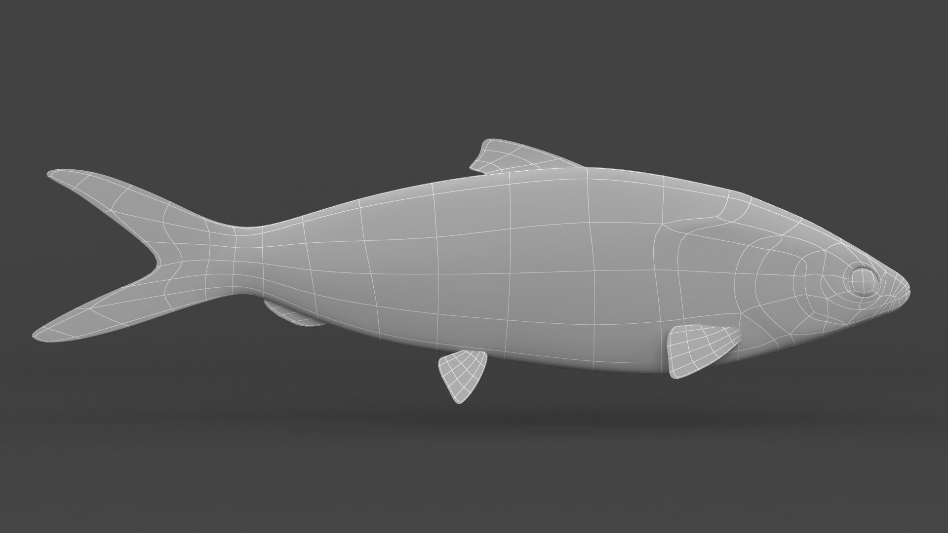 Milkfish fish 3D model_5