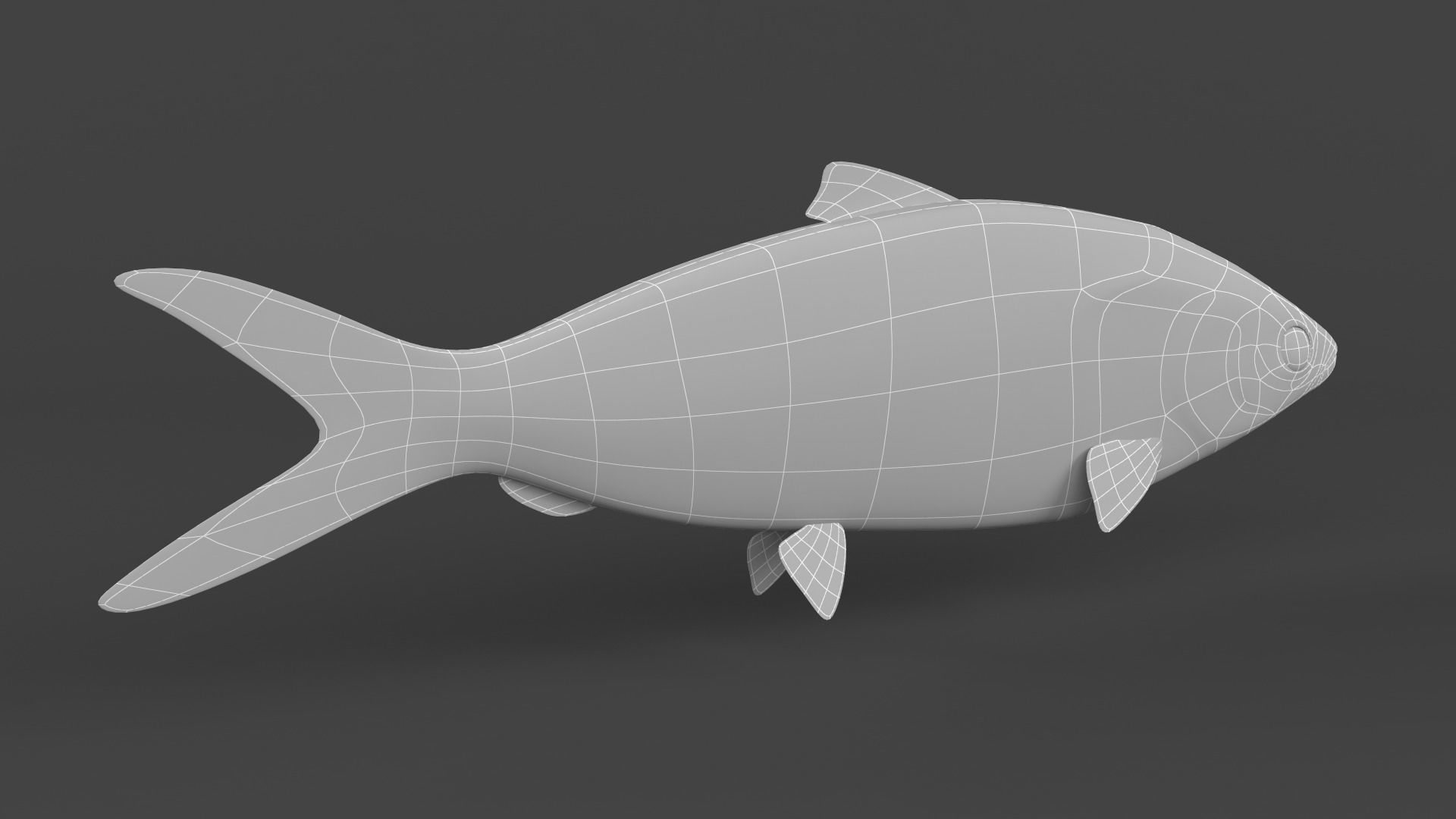 Milkfish fish 3D model_8