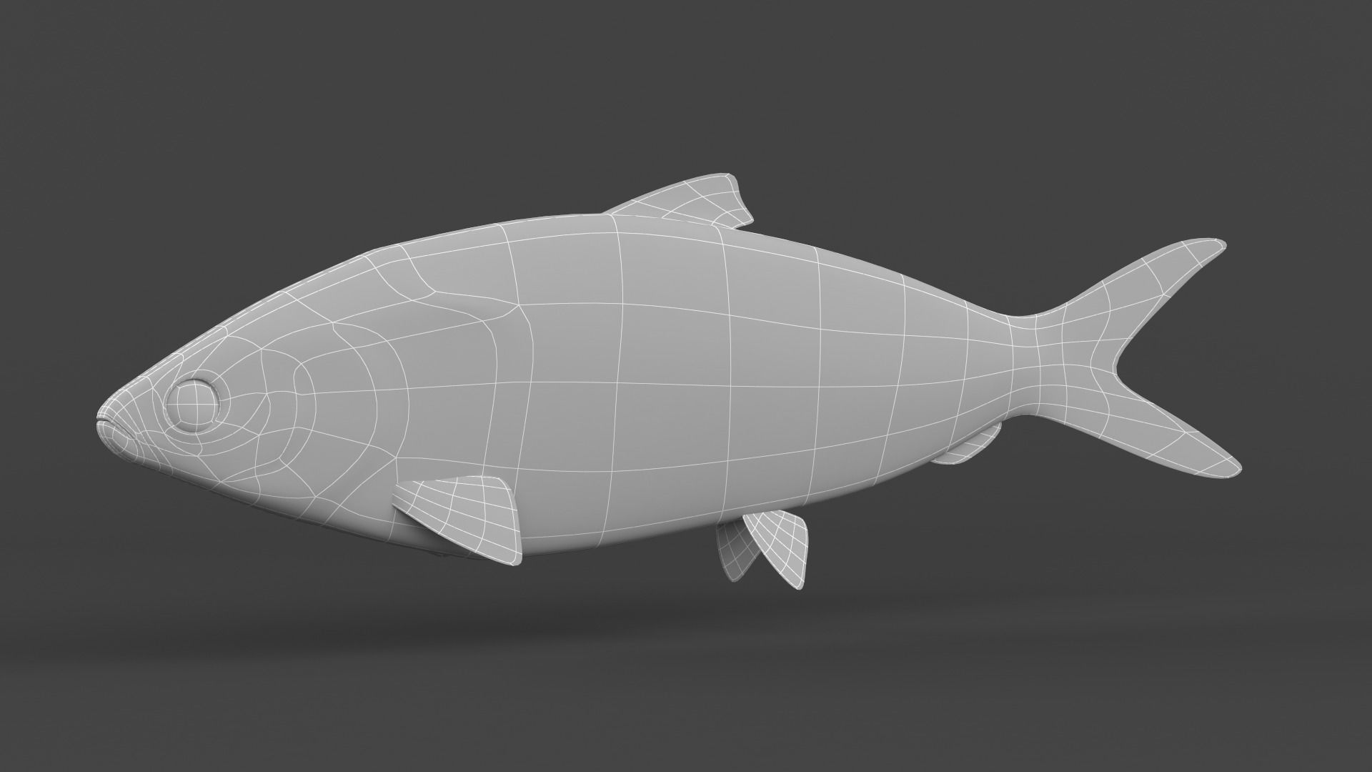 Milkfish fish 3D model_9