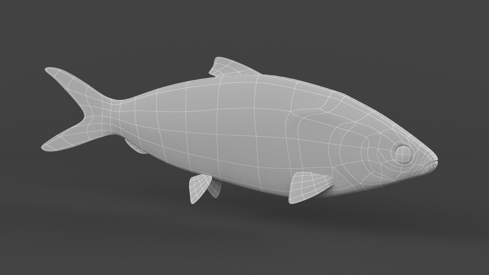 Milkfish fish 3D model_6
