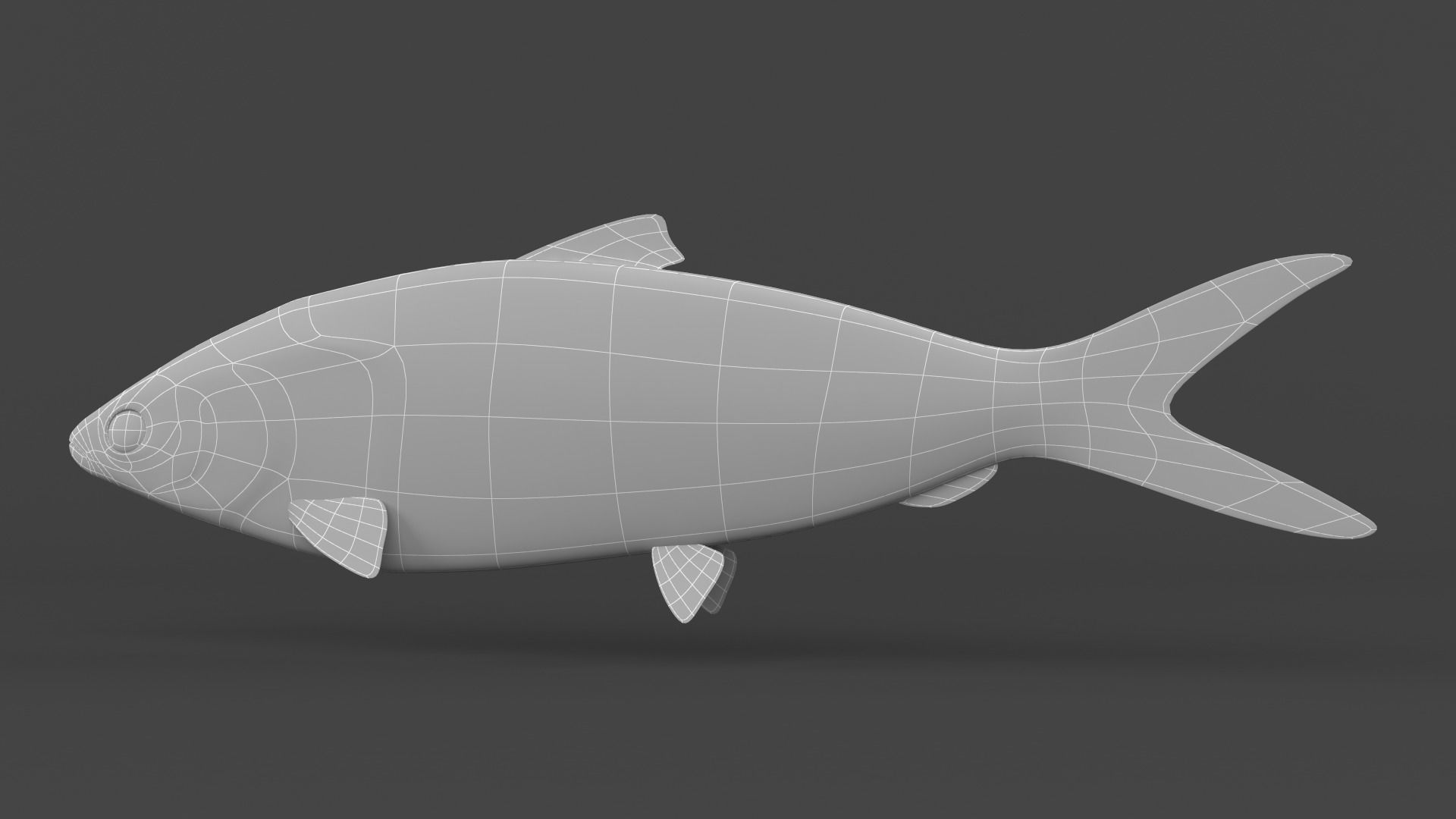 Milkfish fish 3D model_7