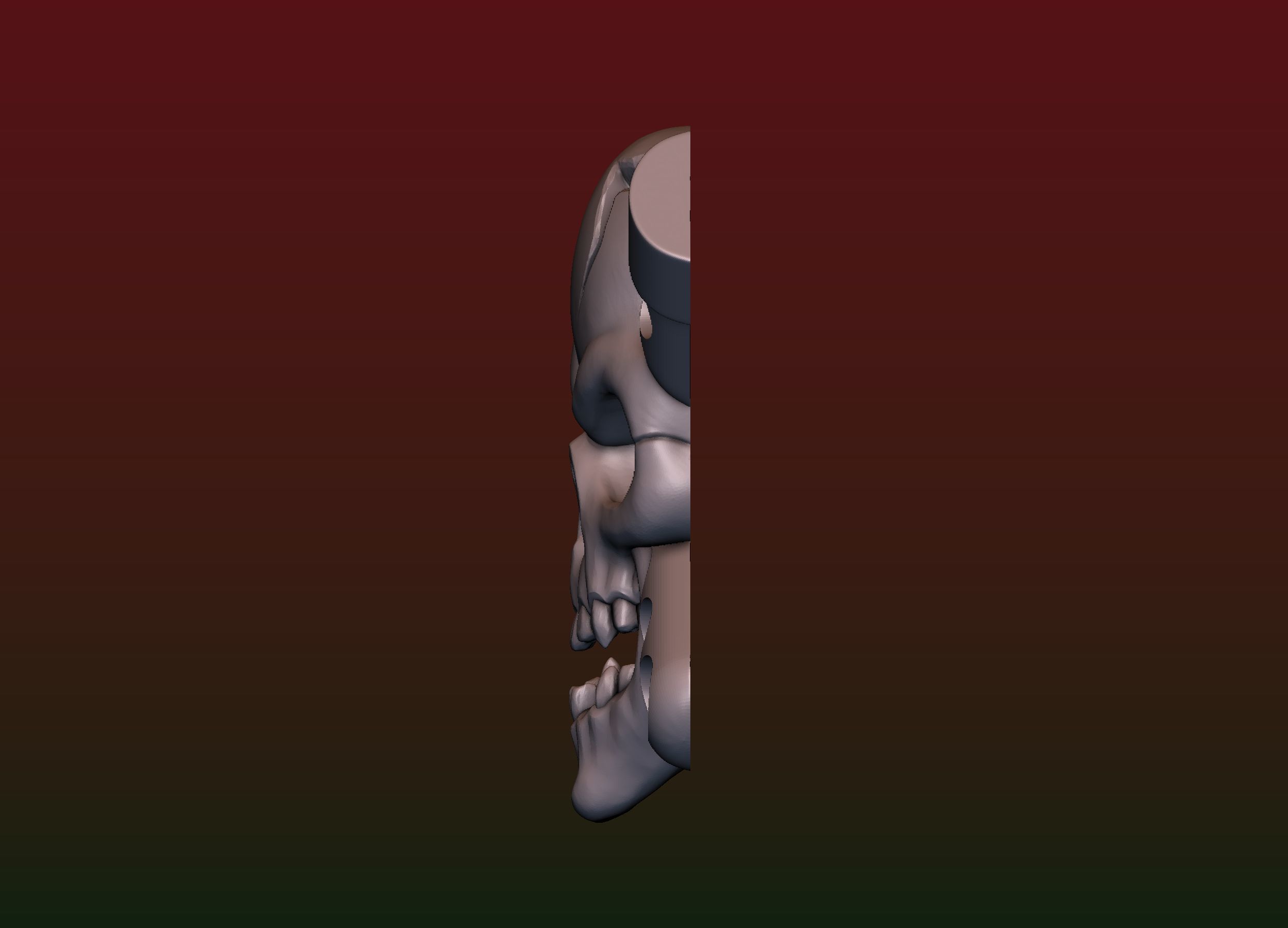 Skull Biohazard Relief 3D print model_15