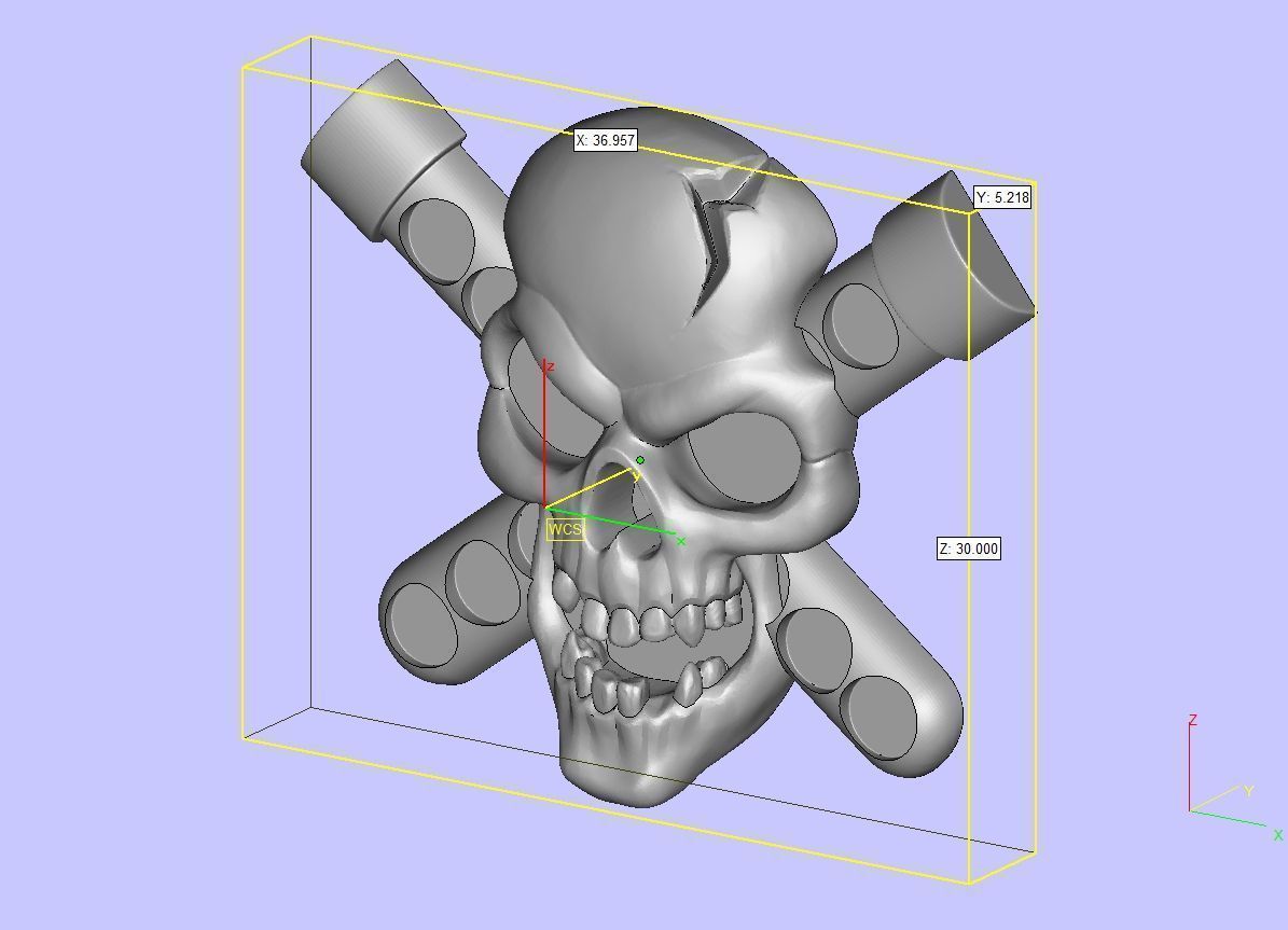 Skull Biohazard Relief 3D print model_24