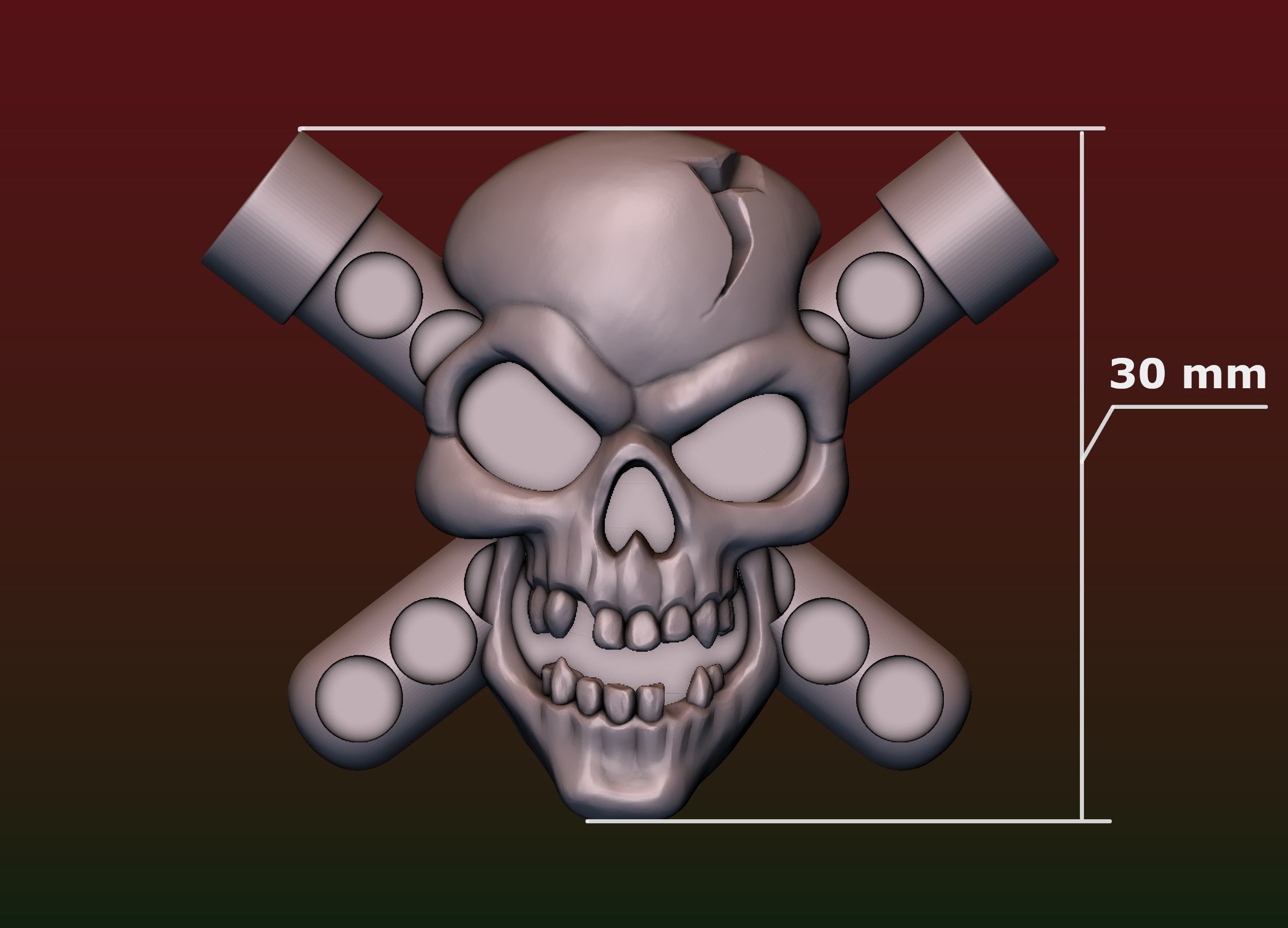 Skull Biohazard Relief 3D print model_21