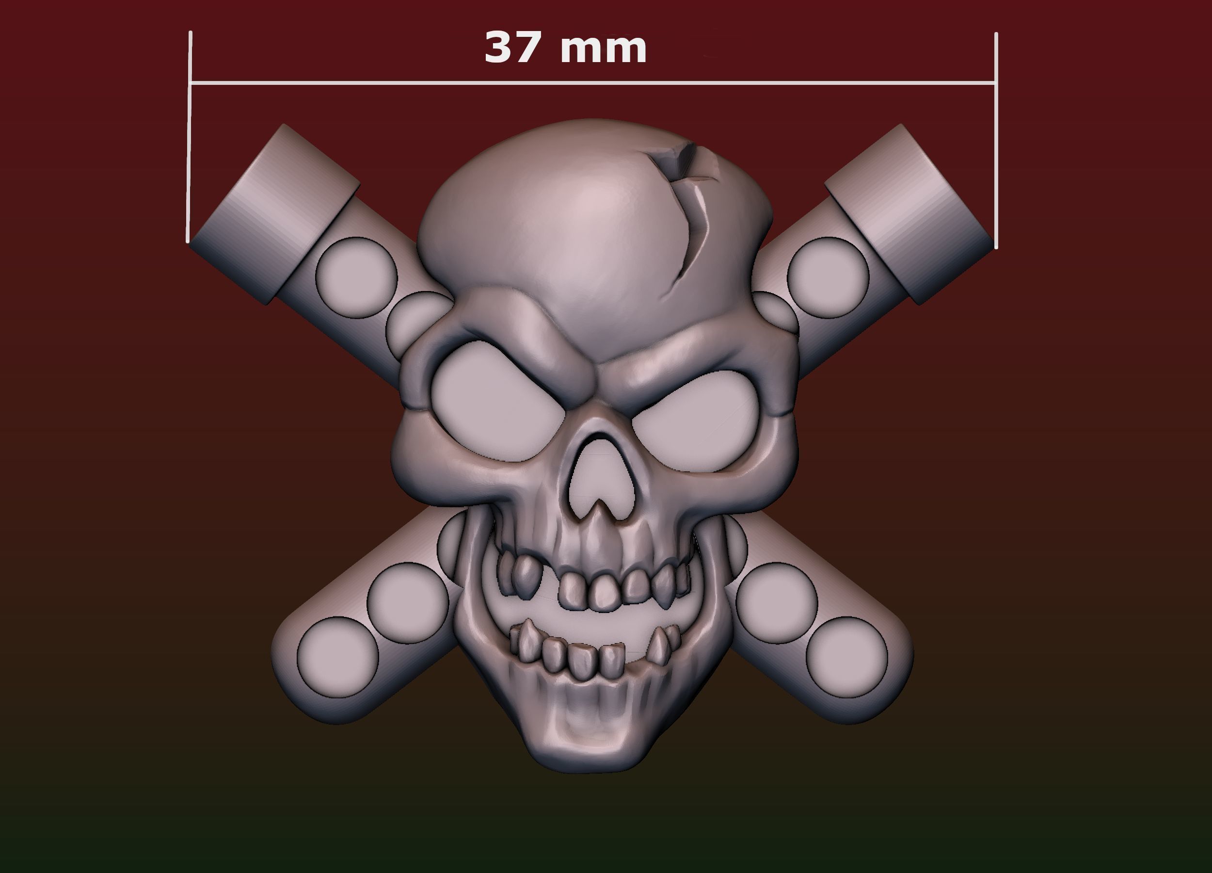 Skull Biohazard Relief 3D print model_20