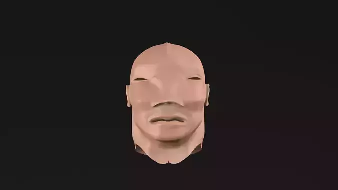 FACE MASK 3D model
